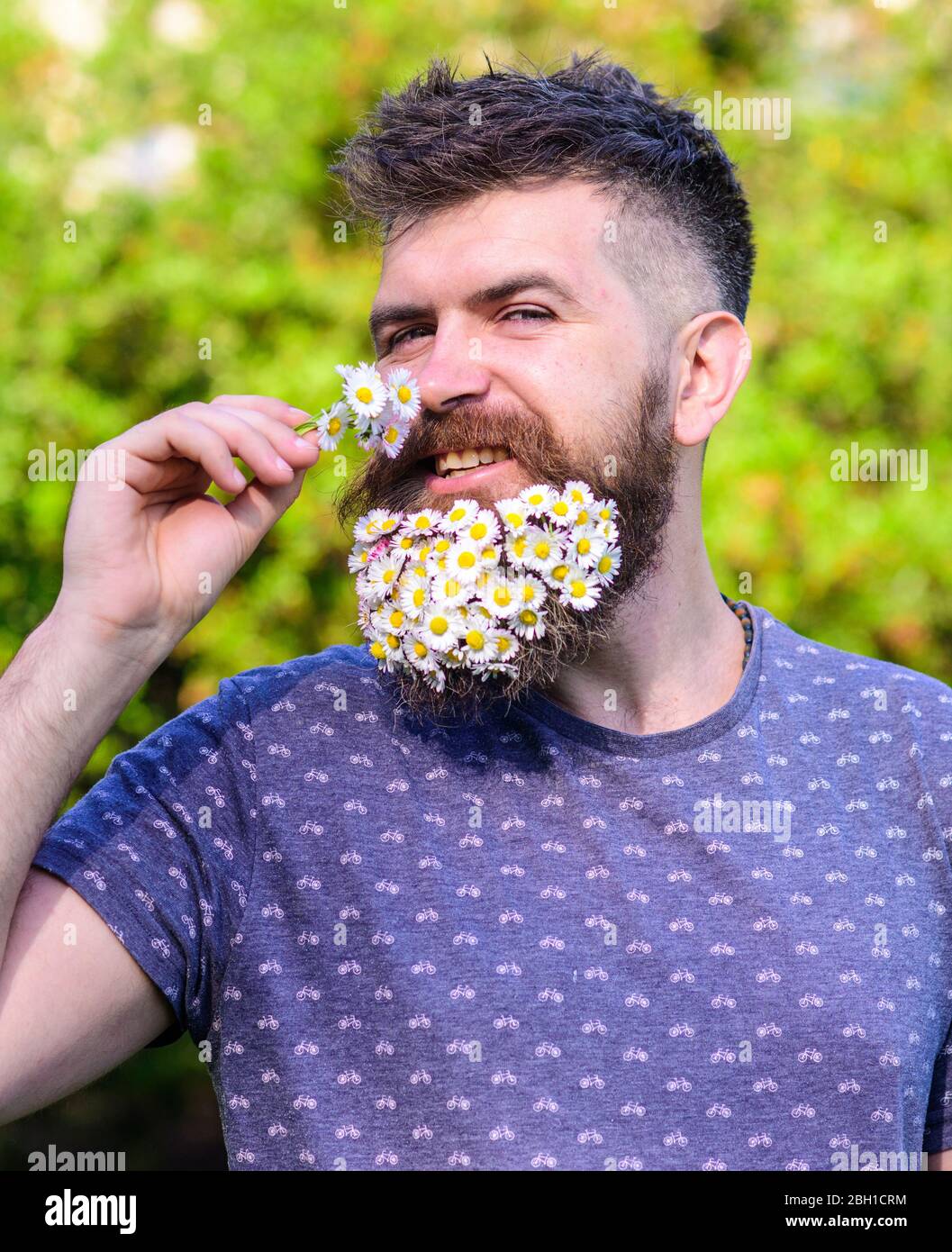 Hipster with bouquet of daisies in beard. Man with beard and mustache on  smiling face sniffs