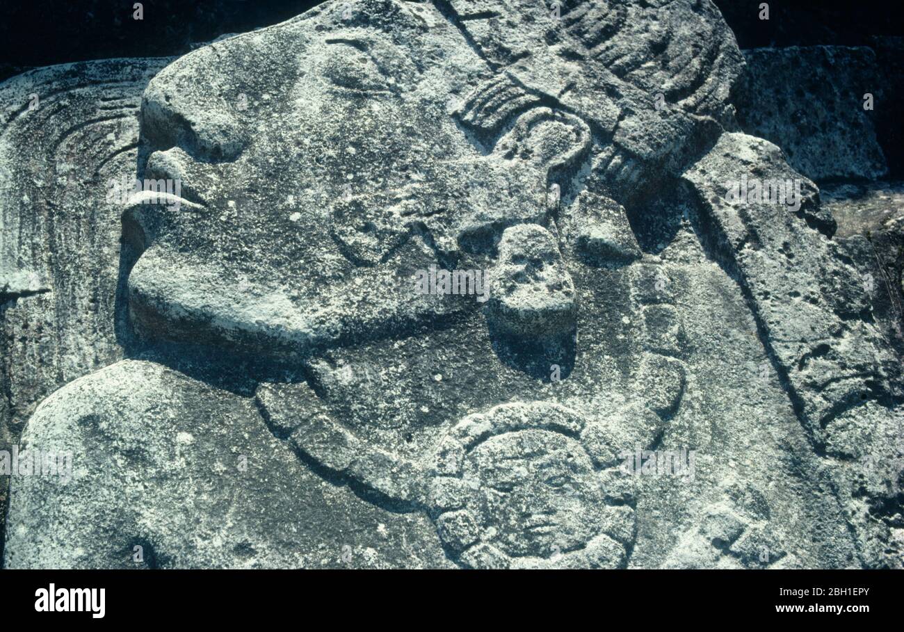 Mexico, Chiapas, Palenque, Carved stone slab depicting the priests head with sun necklace in the courtyard of the Palace. Stock Photo
