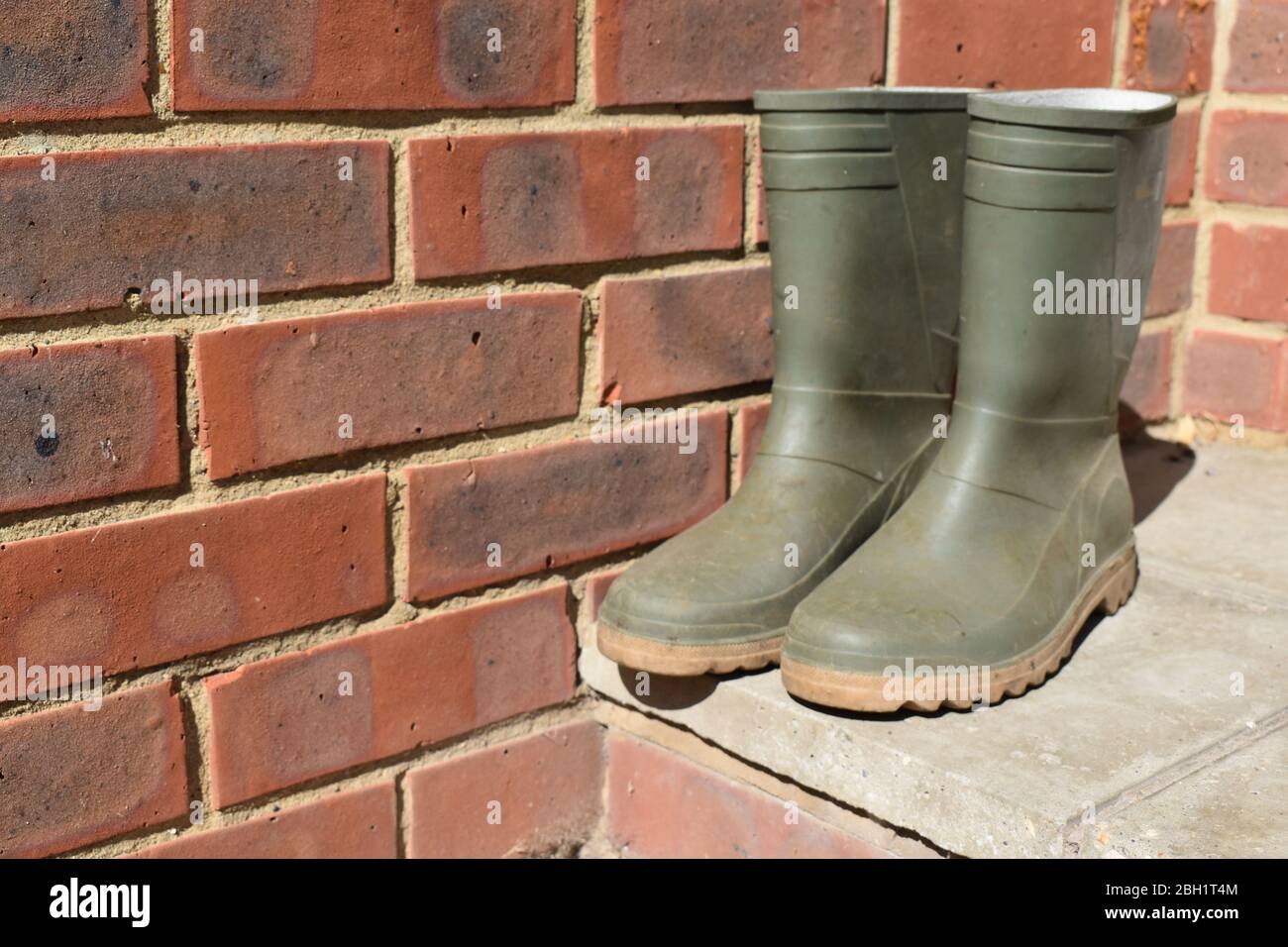 Garden Boots Stock Photo