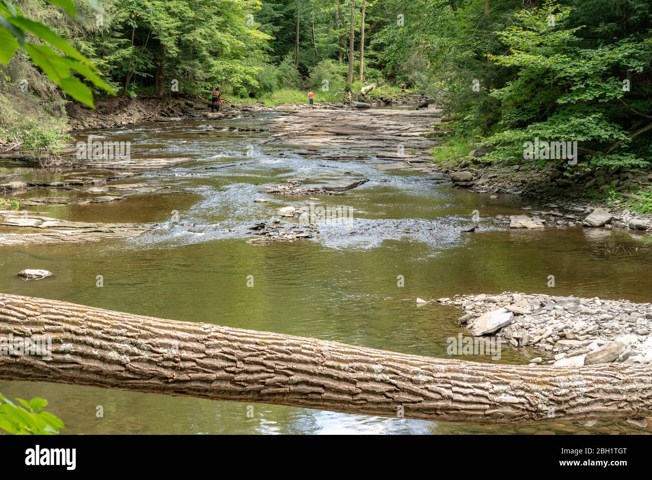 Buttermilk Falls State Park trail, Ithaca, New York Stock Photo