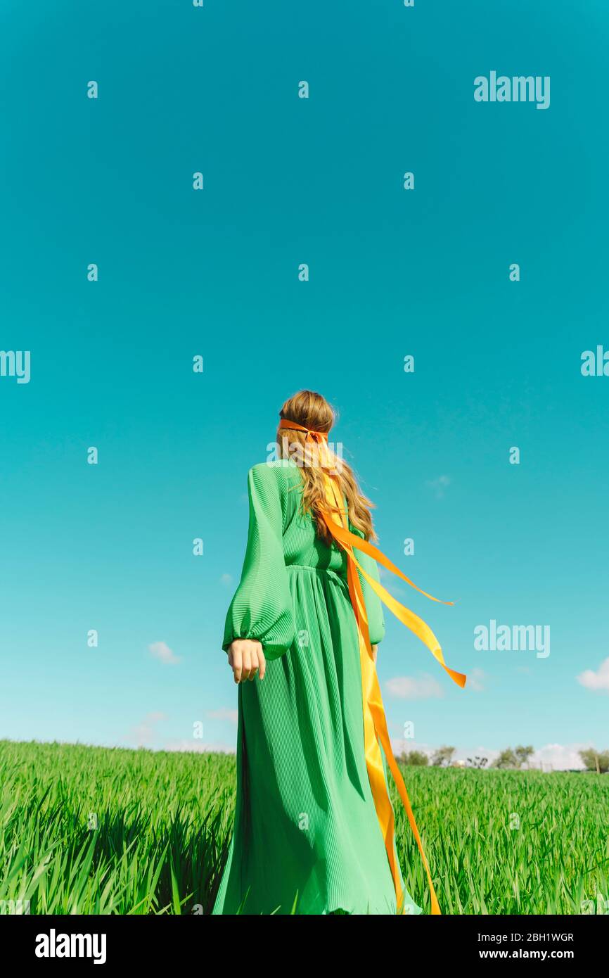 Rear view of young woman wearing a green dress standing in a field with ...
