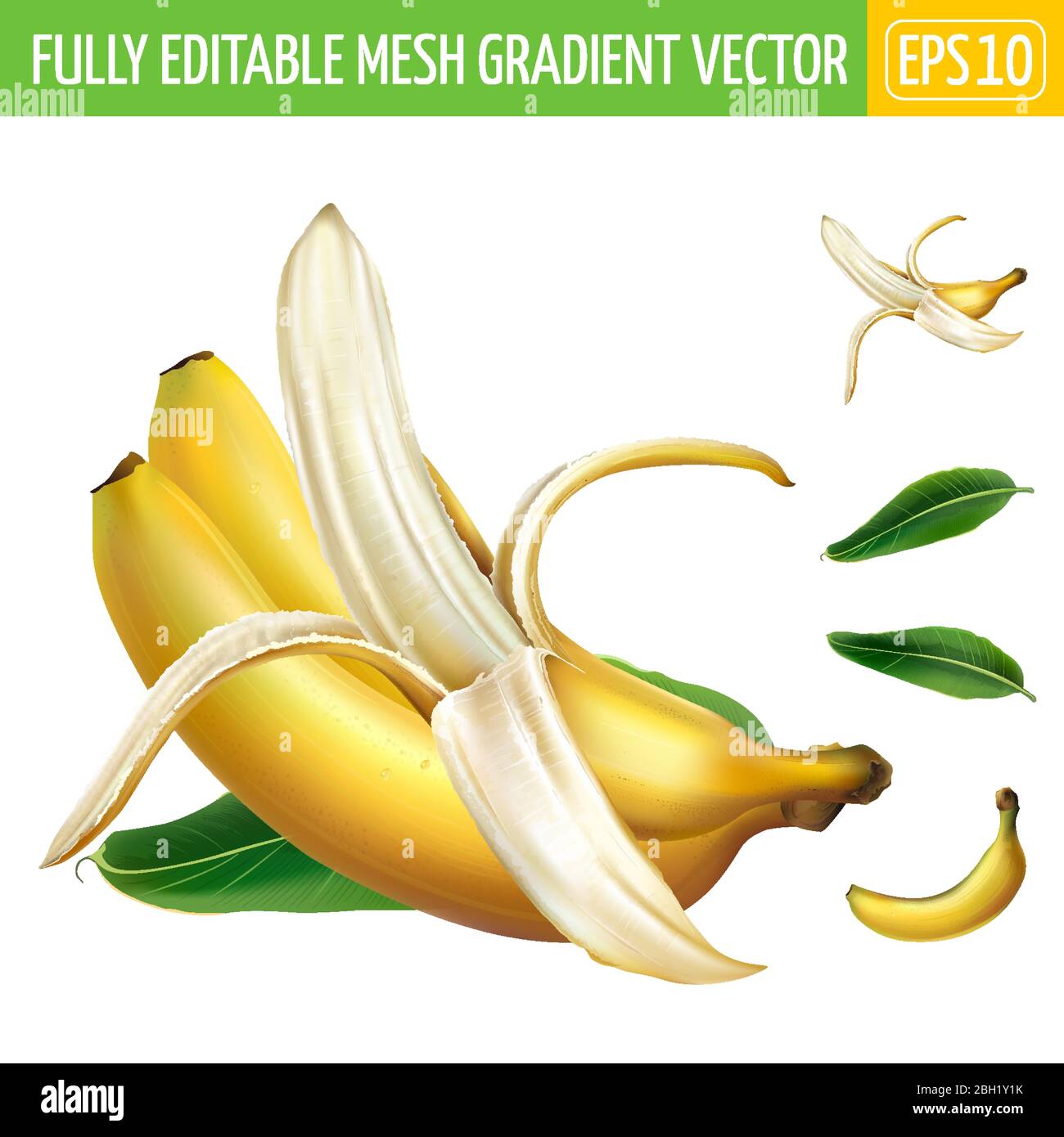 Composition of three ripe bananas with a green leaf. Stock Vector
