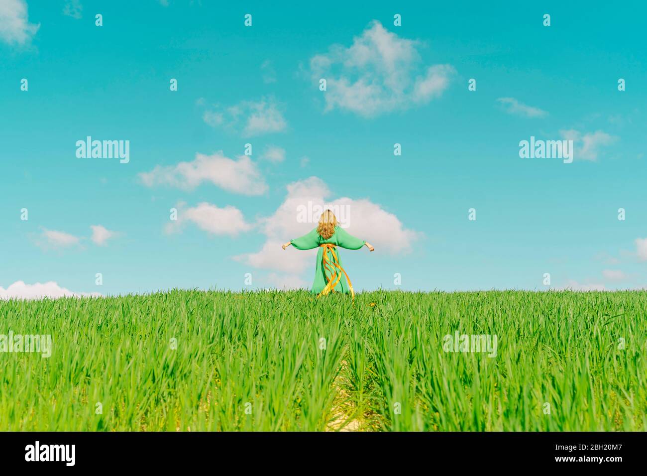Rear view of young woman wearing a green dress in a field with ribbons ...