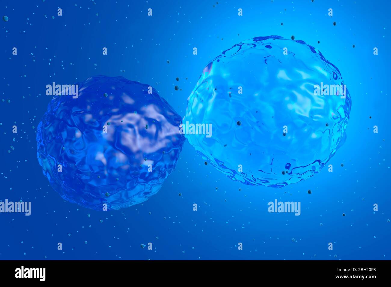 Three dimensional render of stem cell mitosis Stock Photo Biology Diagrams