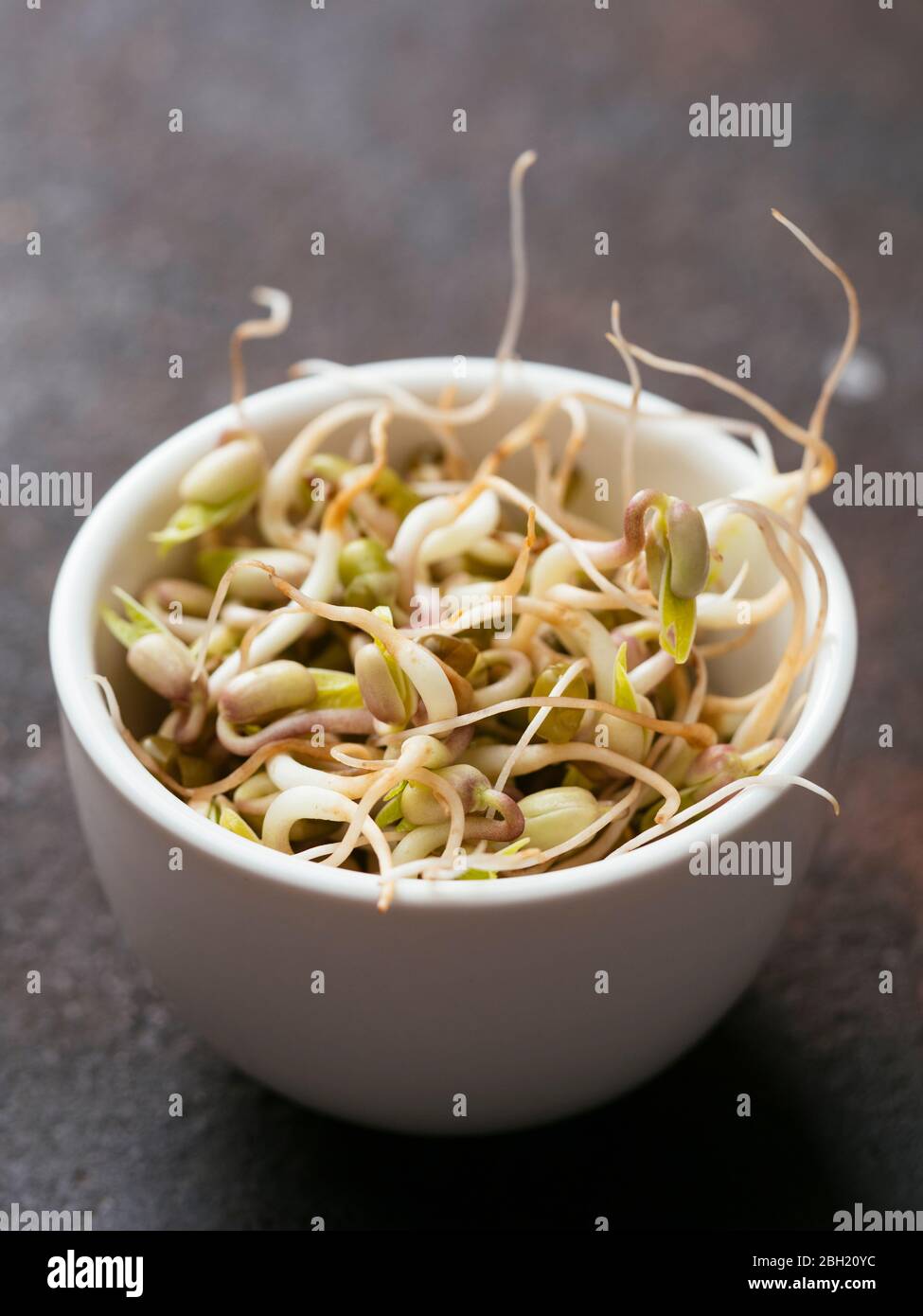 Bowl of fresh mung bean sprouts (Vigna radiata) Stock Photo
