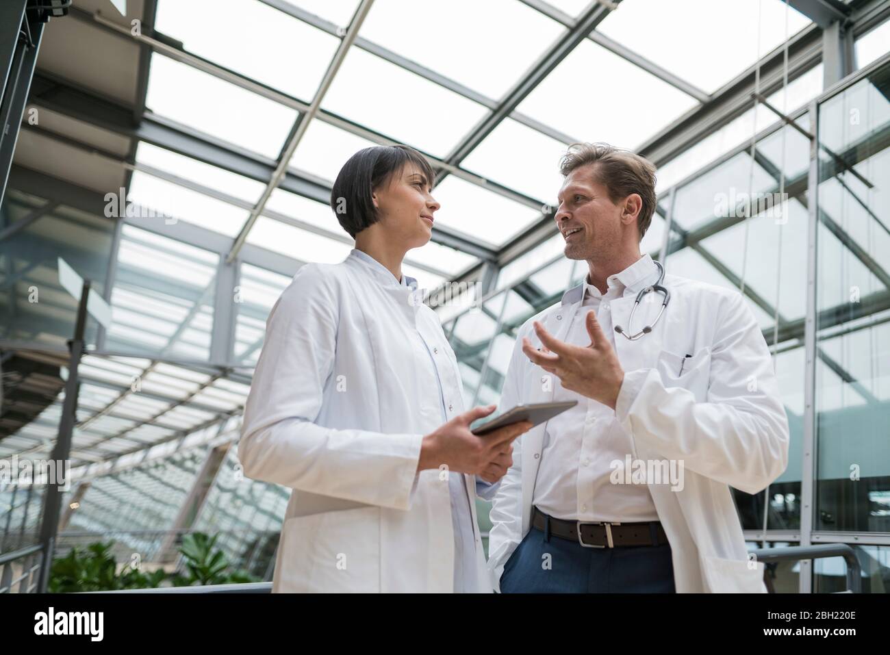 Two doctors standing in atrium, discussing, holding digital tablet Stock Photo