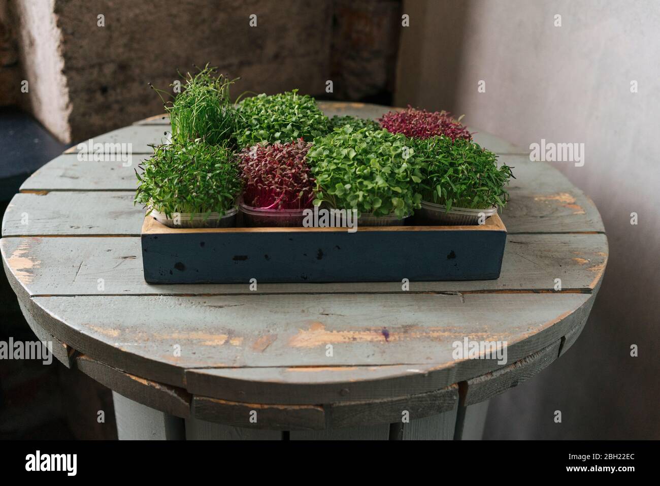 Box with microgreens on wooden table Stock Photo