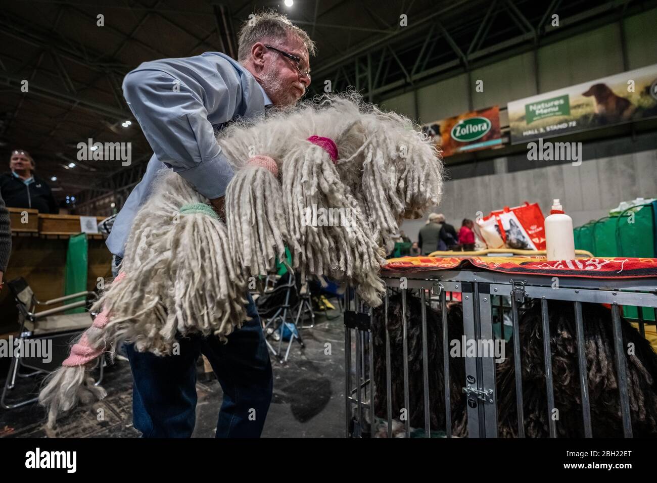 Crufts 2020: Day 3 of the Crufts dog show at the NEC in Birmingham, UK. Stock Photo