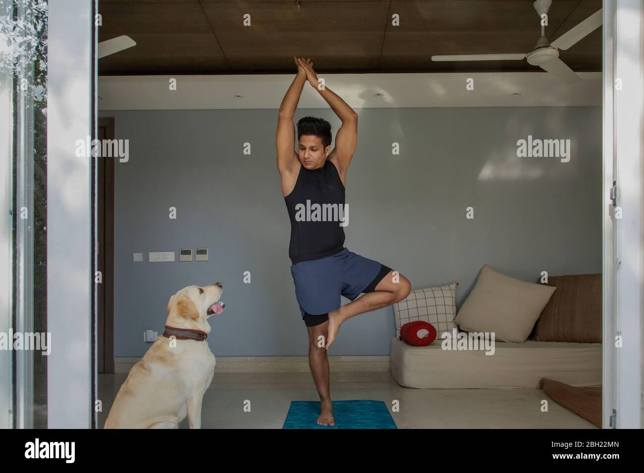Man standing in tree pose during yoga exercise with his dog sitting calmly next to him. Stock Photo