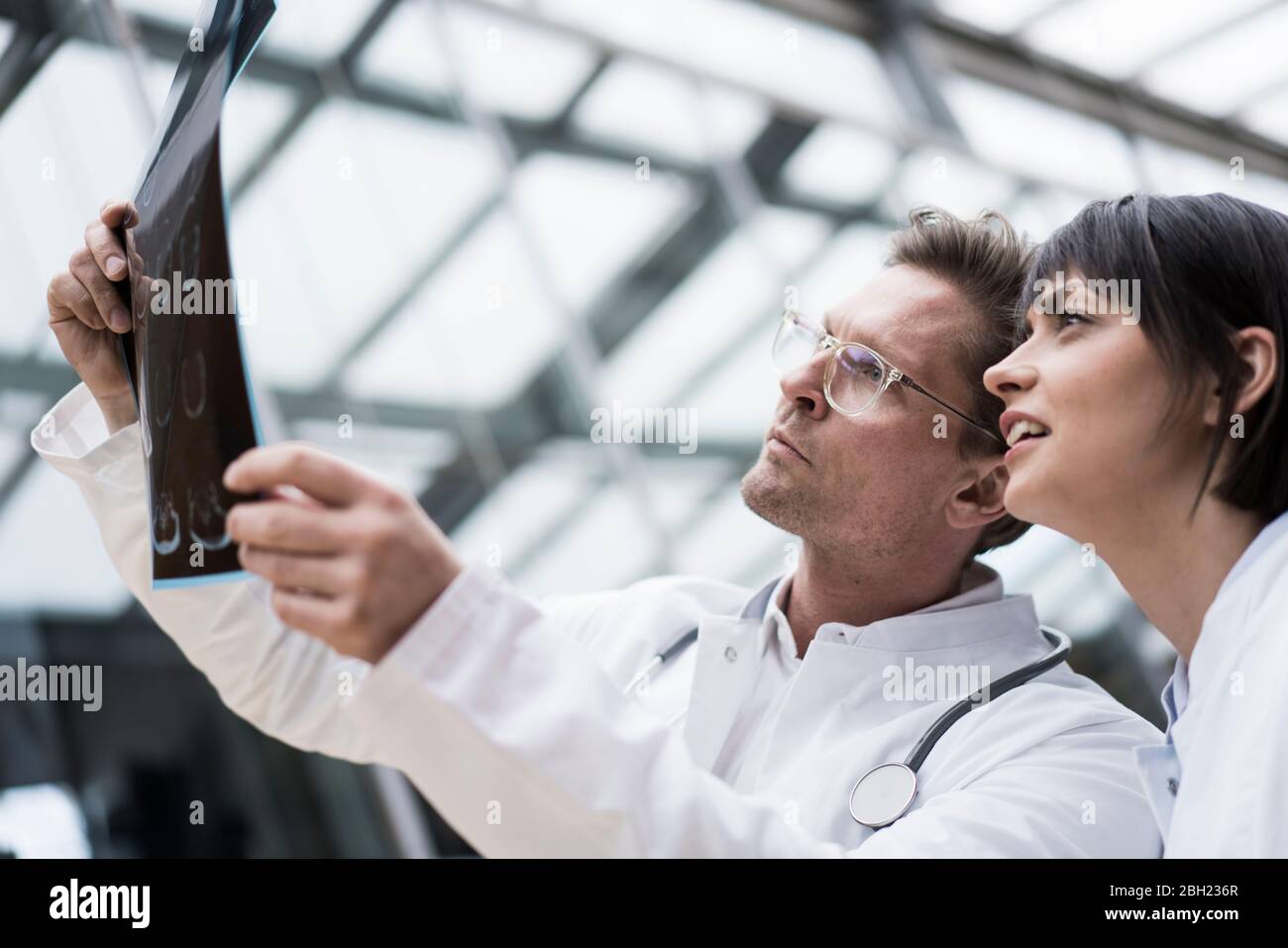 Two doctors looking at x-ray images Stock Photo