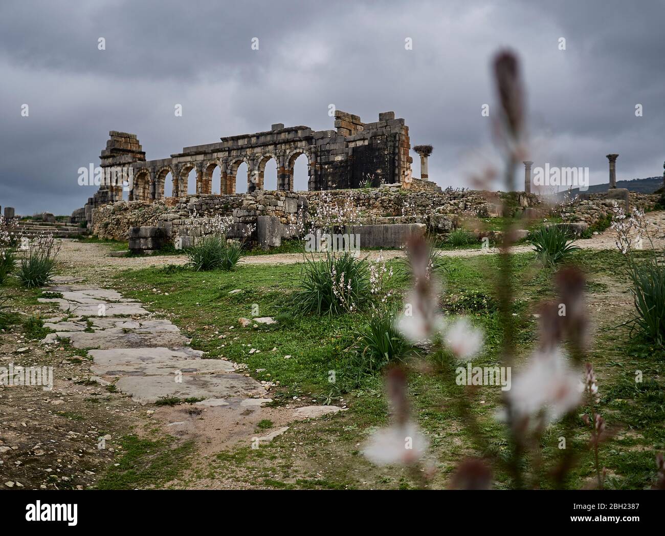 Morocco, Volubilis, Archaeological site of ancient Roman village Stock Photo