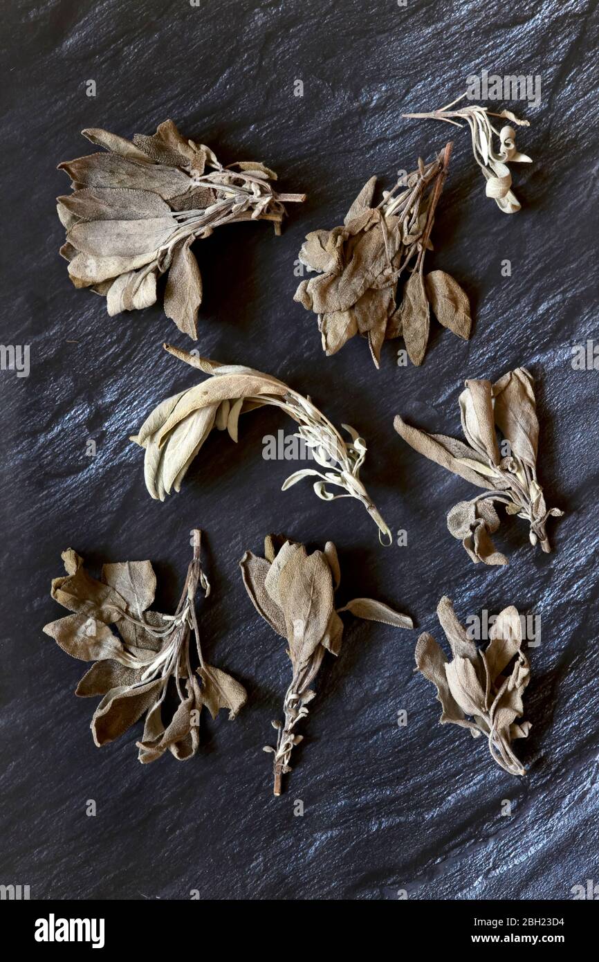 Sage dried hires stock photography and images Alamy