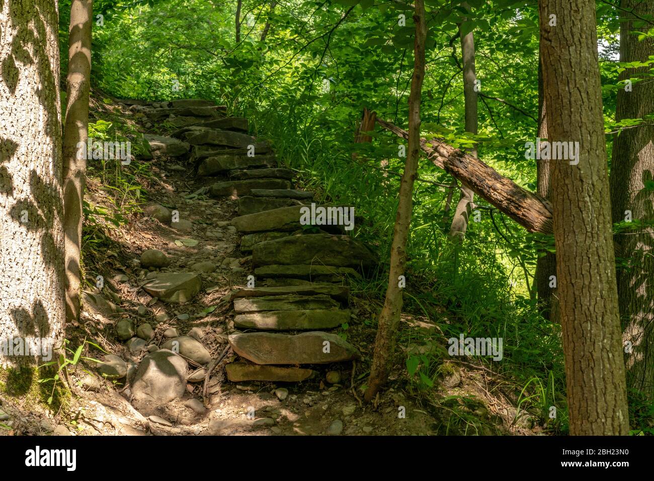Buttermilk Falls State Park trail, Ithaca, New York Stock Photo
