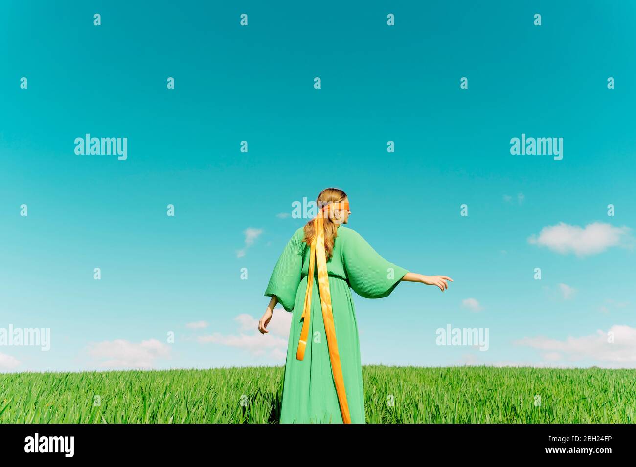 Rear view of young woman wearing a green dress standing in a field with ...