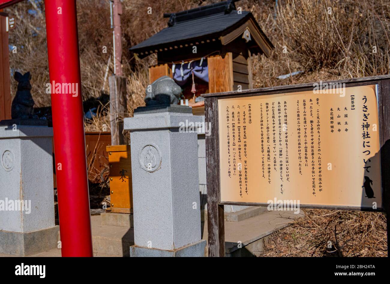 KAWAGUCHIKO, JAPAN – FEBRUARY 9,2020 : Usagi Jinja or Rabbit Shrine japanese message, small shrine dedicated to the rabbit from the story of Kachi Kac Stock Photo