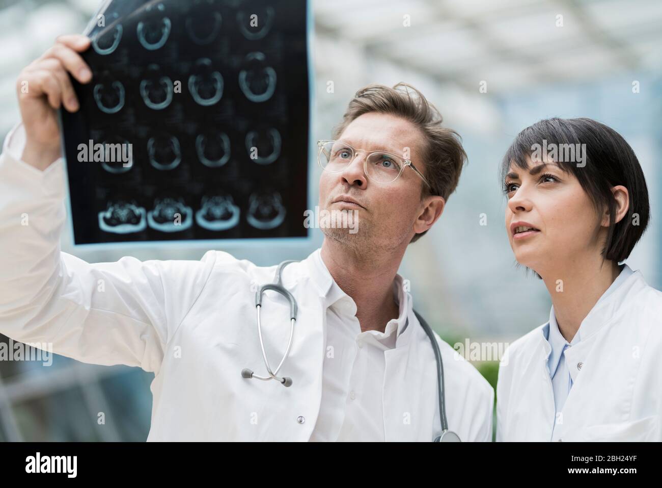 Two doctors looking at x-ray images Stock Photo