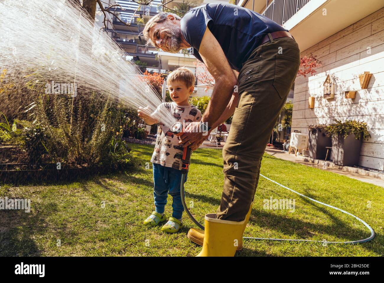 Father and son watering the lawn in garden Stock Photo - Alamy