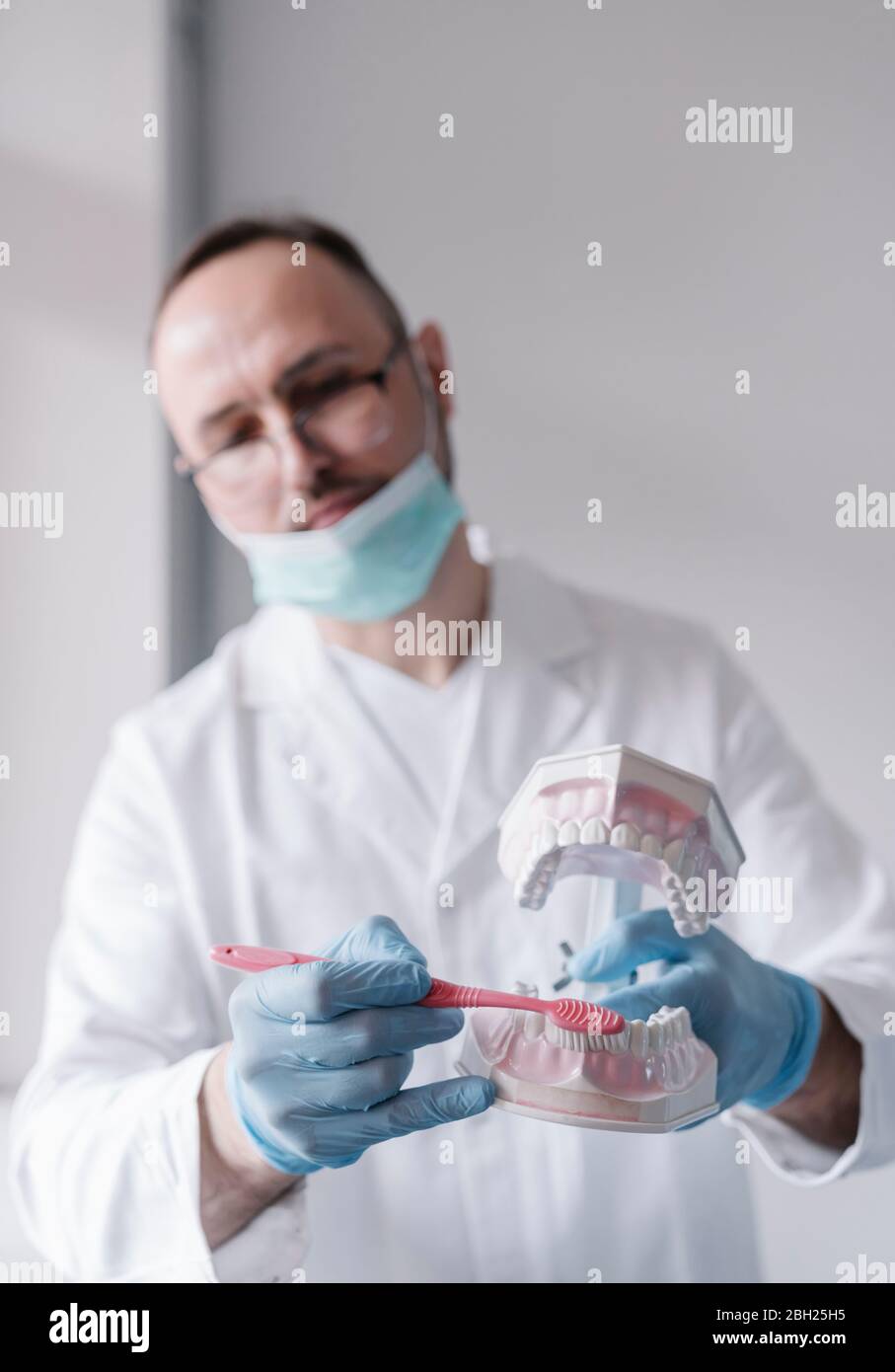 Denist showing how to clean teeth with a tooth brush with a dental model Stock Photo