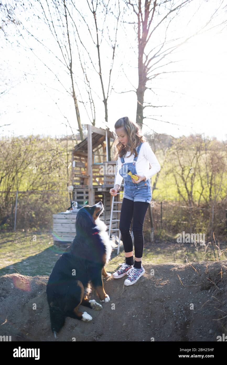 Girl playing in the garden with her dog Stock Photo - Alamy