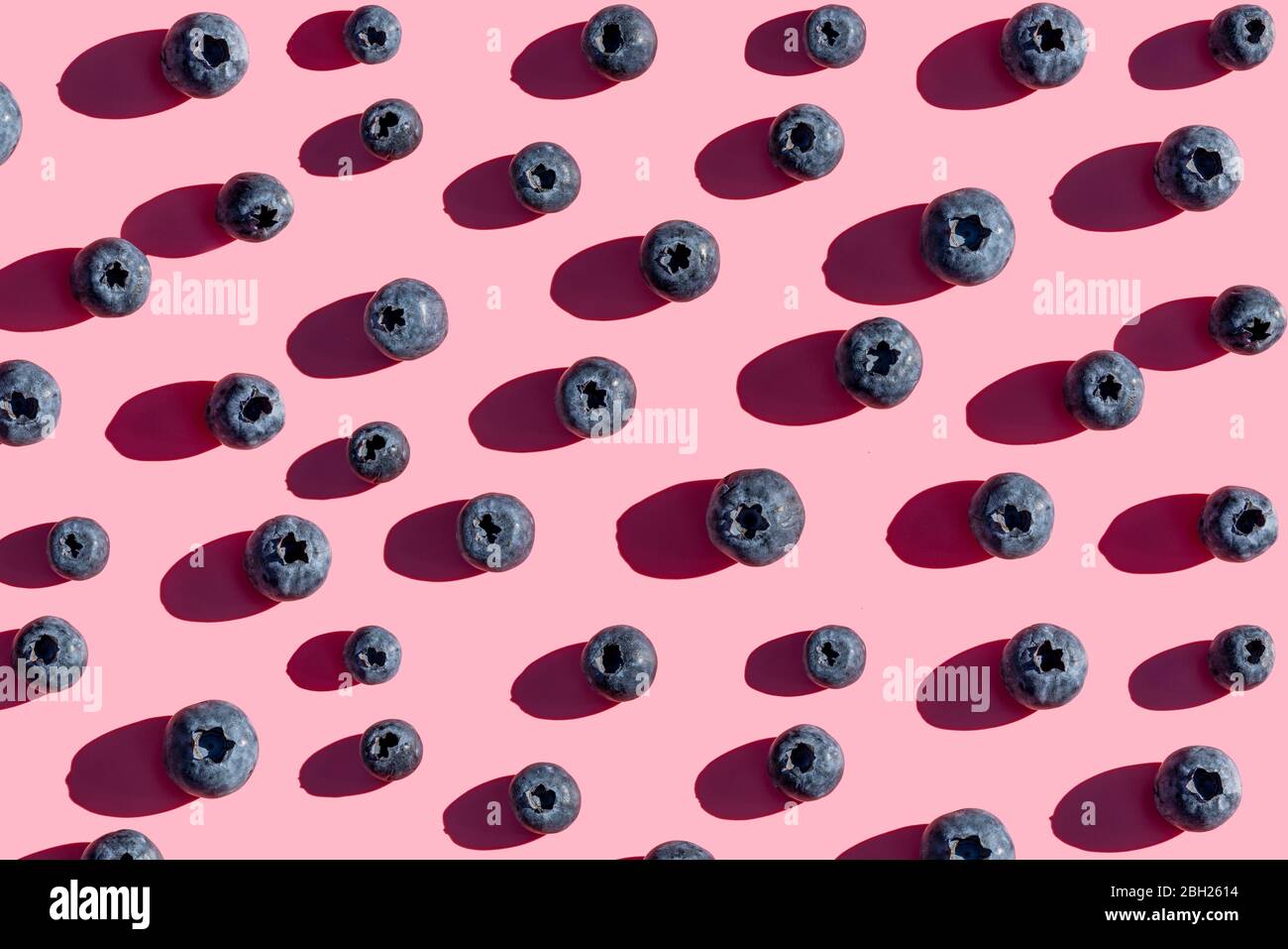 Rows of blueberries on pink background Stock Photo
