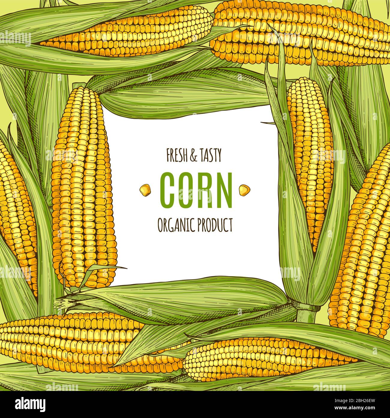 Corn On The Cob Template