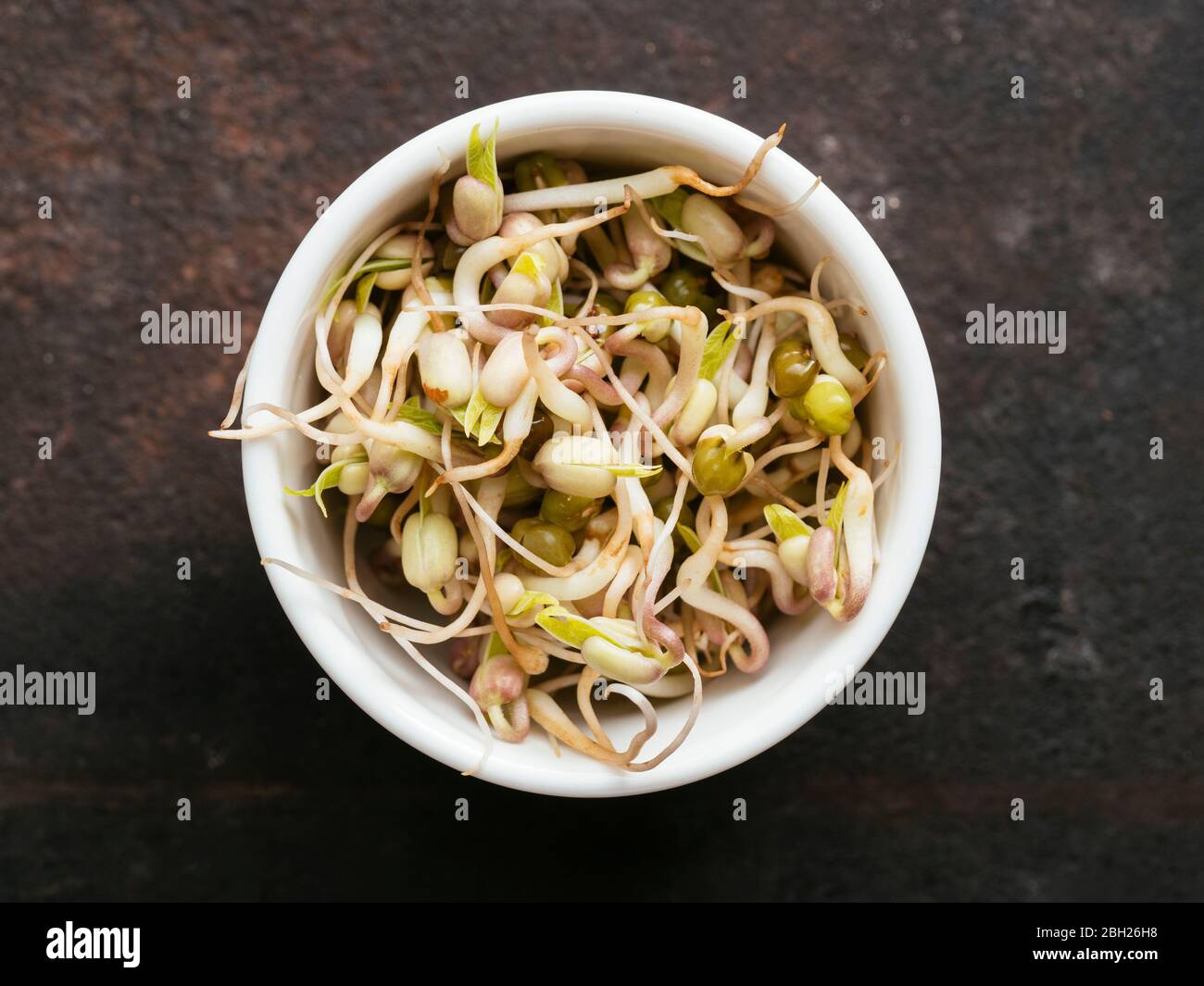 Bowl of fresh mung bean sprouts (Vigna radiata) Stock Photo