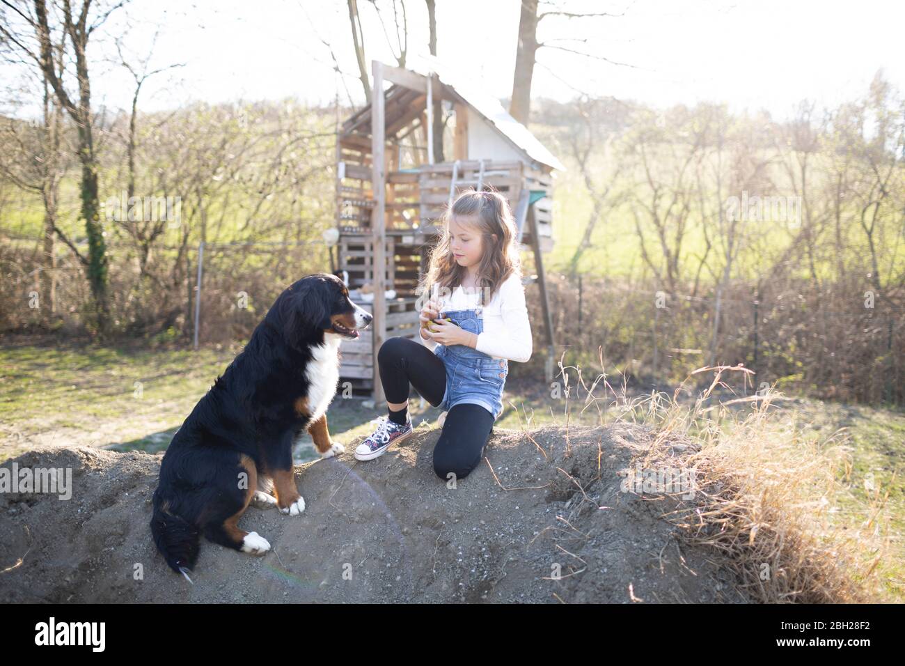 Girl playing in the garden with her dog Stock Photo - Alamy