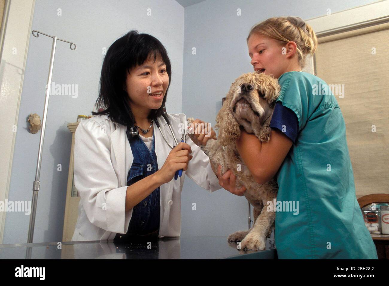 Austin Texas USA Female AsianAmerican veterinarian with young female