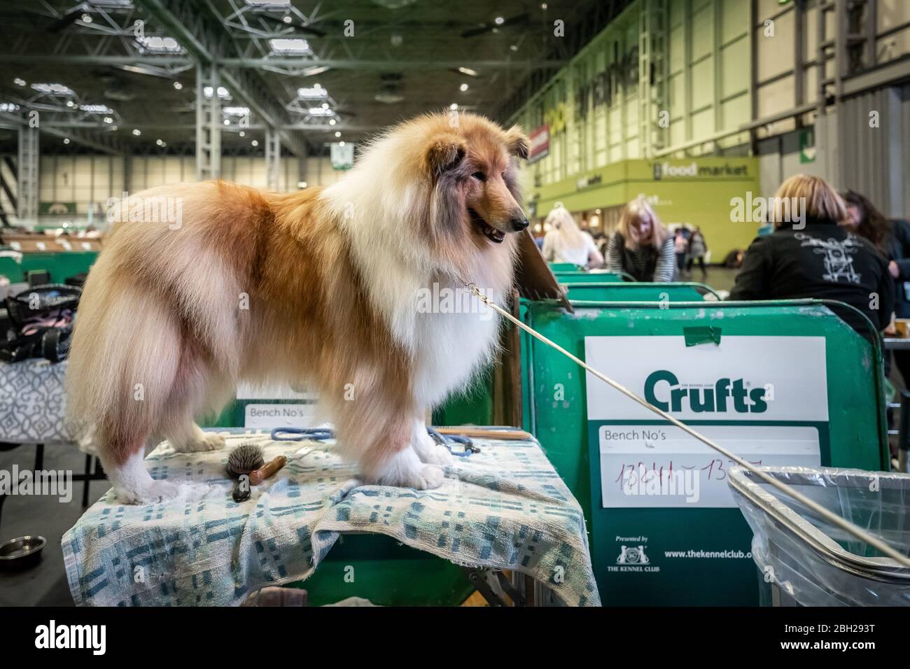 the crufts