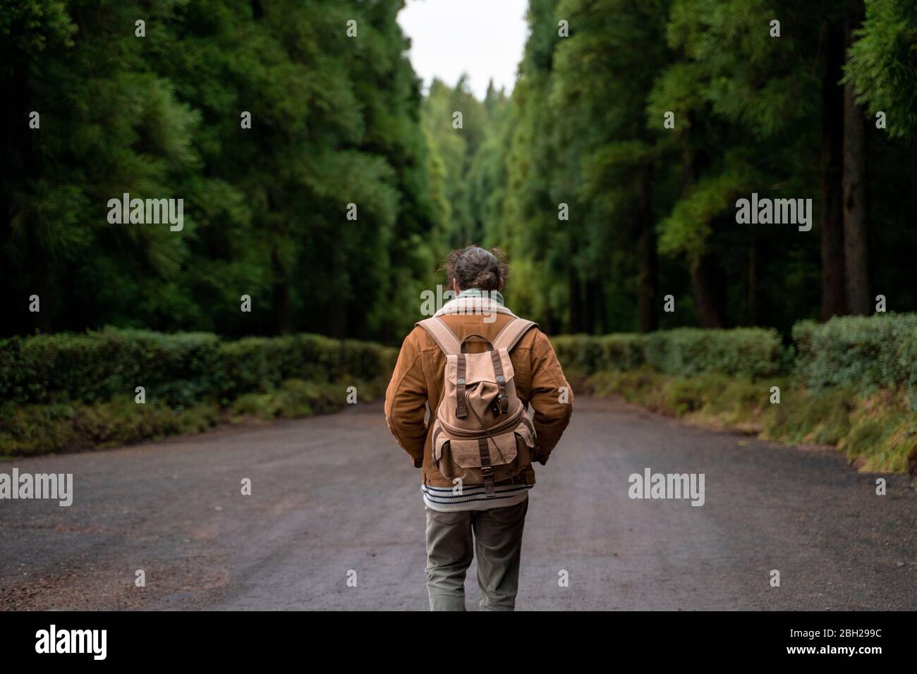 Rear view of man on forest road, Sao Miguel Island, Azores, Portugal Stock Photo