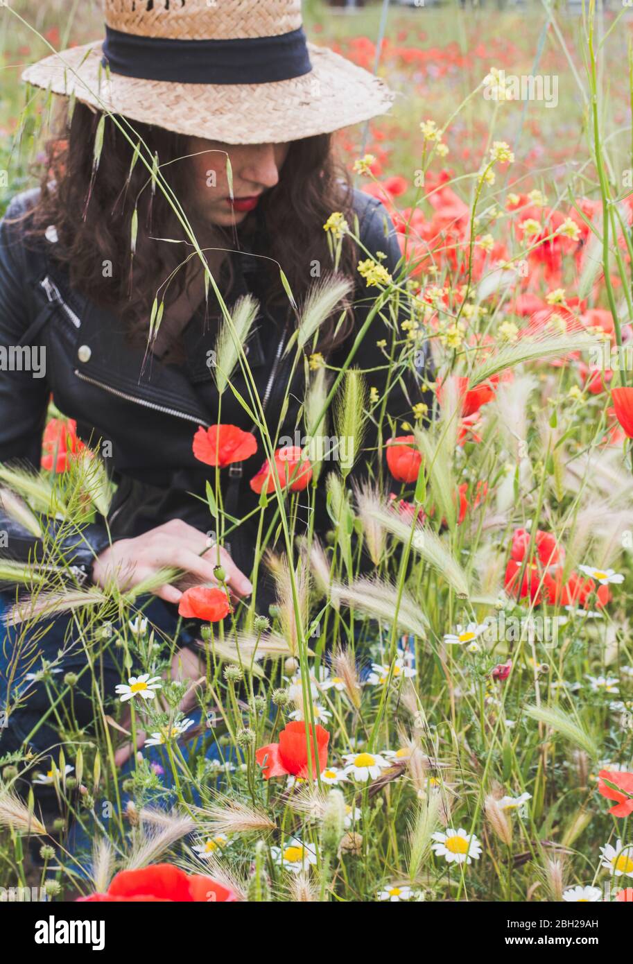Young woman crouching in poppy field Stock Photo