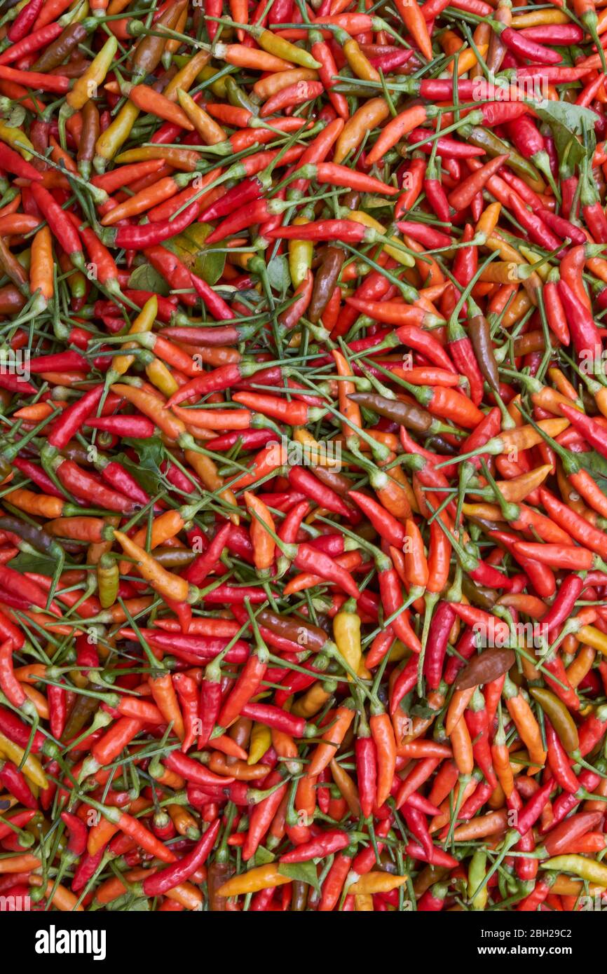 Ethiopia, Heap of red chili peppers Stock Photo Alamy