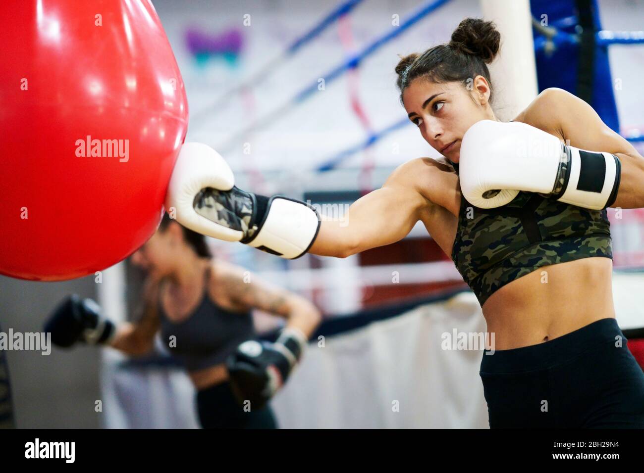 Female Boxers Training At Punch Bag In Gym Stock Photo Alamy