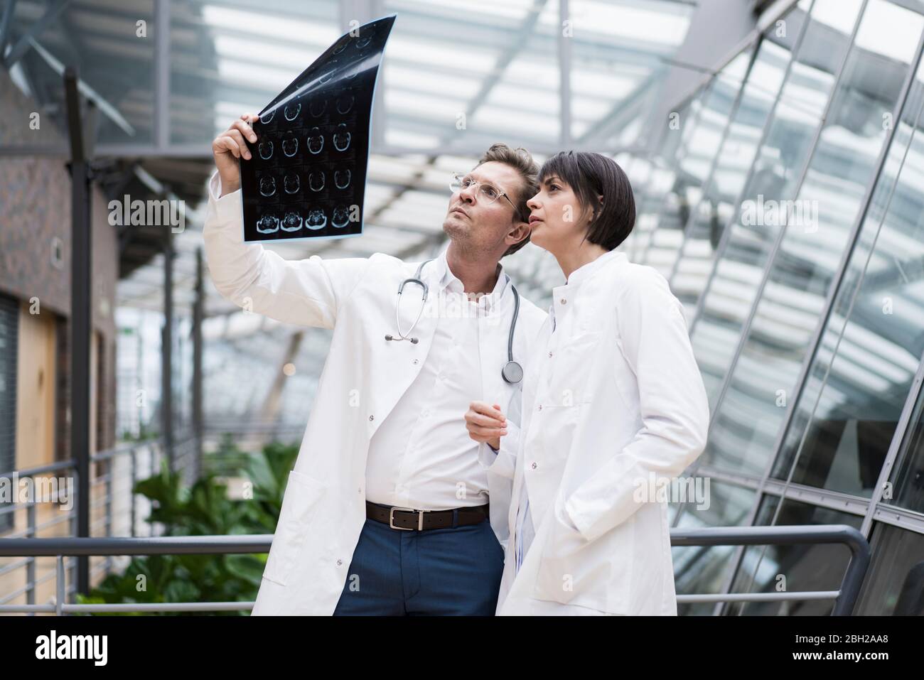 Two doctors looking at x-ray images Stock Photo