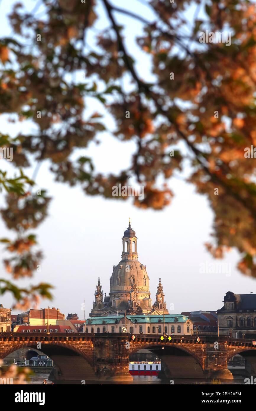Germany, Saxony, Dresden, Arch bridge and Dresden Frauenkirche at dusk Stock Photo