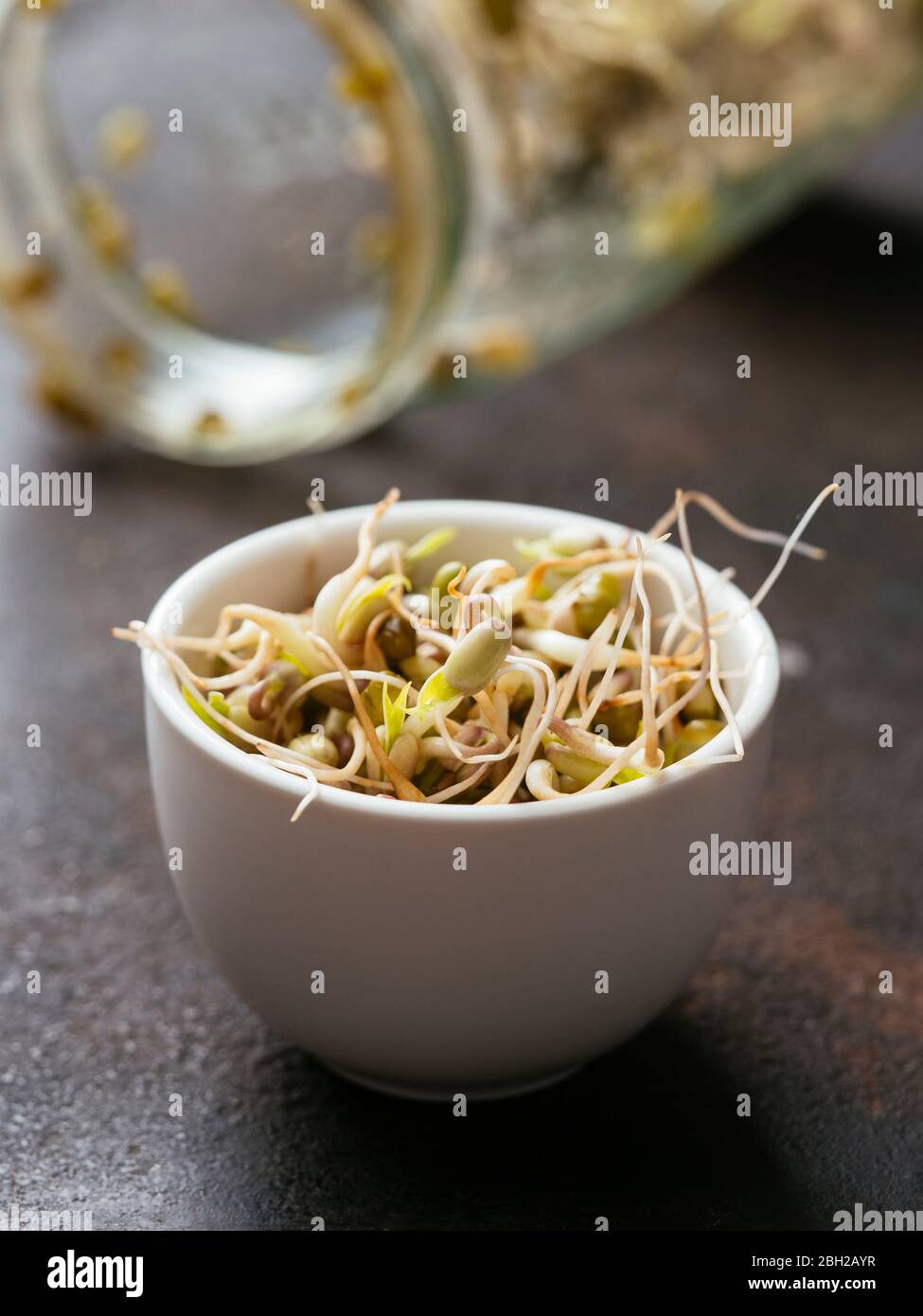 Bowl of fresh mung bean sprouts (Vigna radiata) Stock Photo