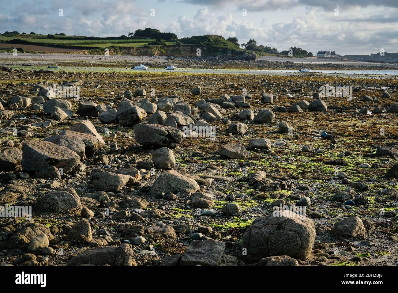 July 27, 2019, Pleubian, Côte d'Armor, Brittany, France - Beach at low tide in Brittany with exposed rocks and boats on the ground Stock Photo