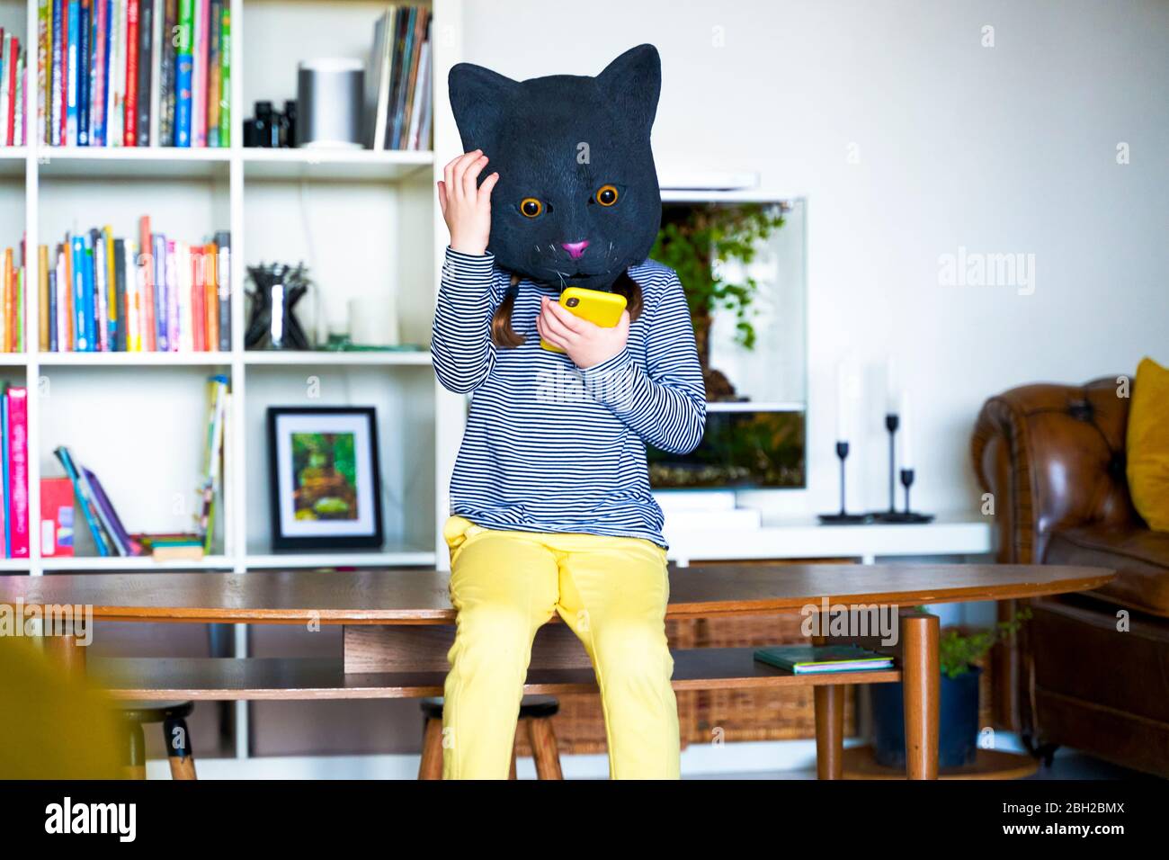 Download Cat Mask High Resolution Stock Photography And Images Alamy PSD Mockup Templates