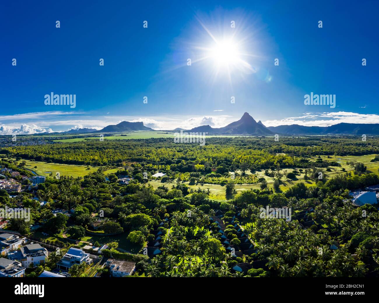 Summer sun trees hi-res stock photography and images - Alamy