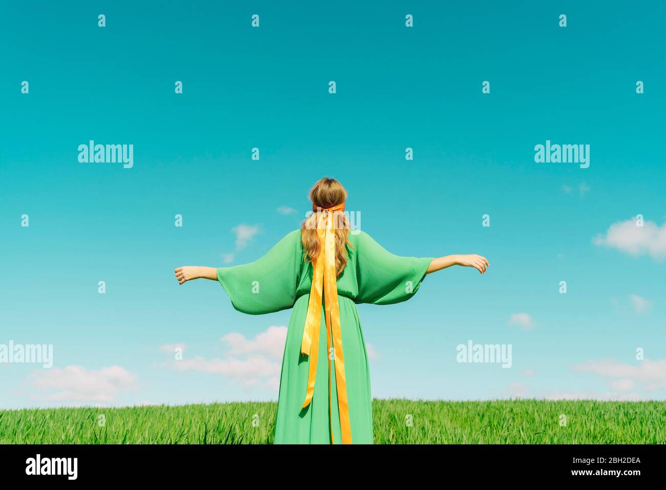 Rear view of young woman wearing a green dress standing in a field with ...