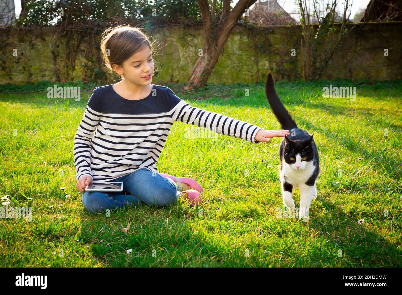 Portrait of little girl sitting on a meadow with mini tablet stroking cat Stock Photo