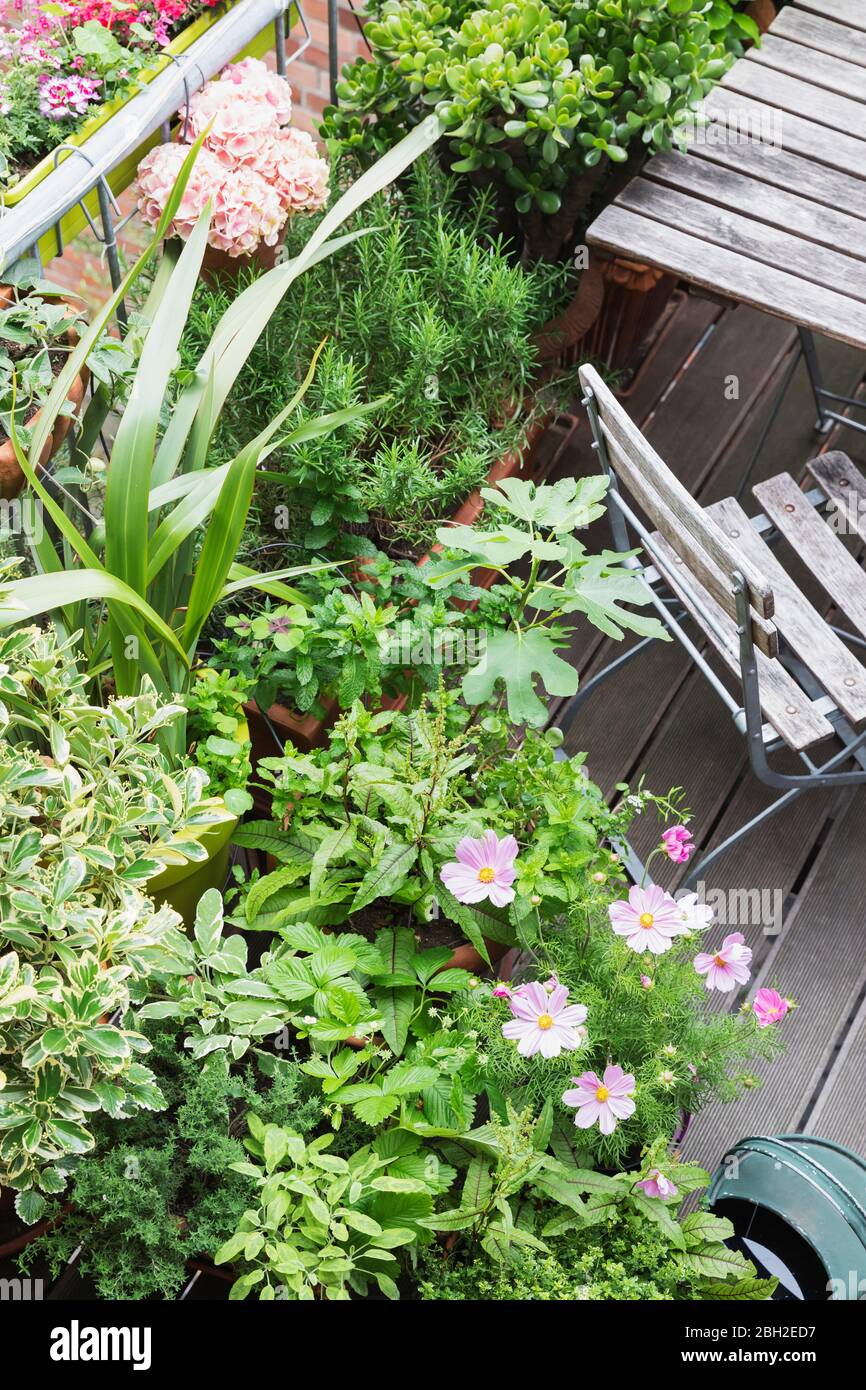 Various flower growing on balcony at hires stock photography and