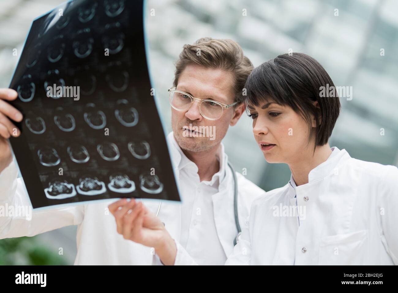 X Ray Images High Resolution Stock Photography and Images - Alamy