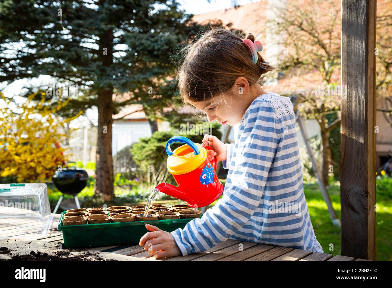 Girl watering plants in her little greenhouse Stock Photo