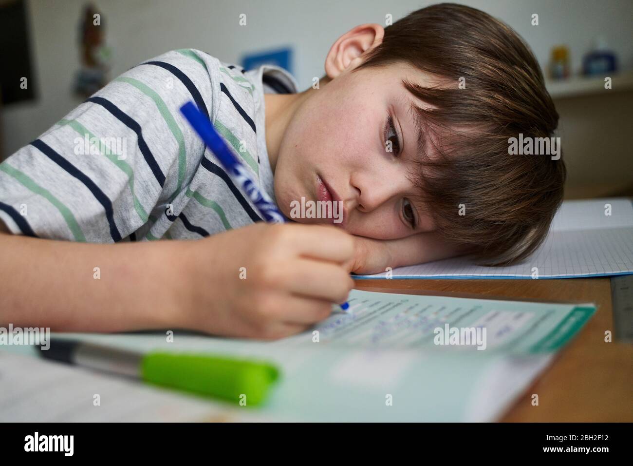 Portrait of boy doing homework Stock Photo