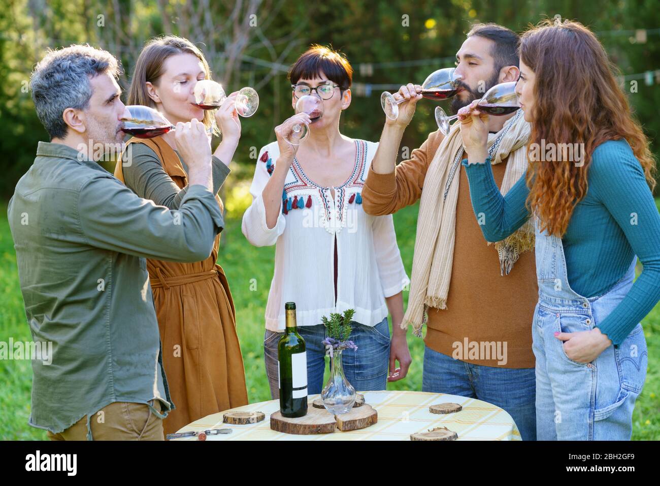 Group of friends drinking red wine on their getaway in the countryside Stock Photo