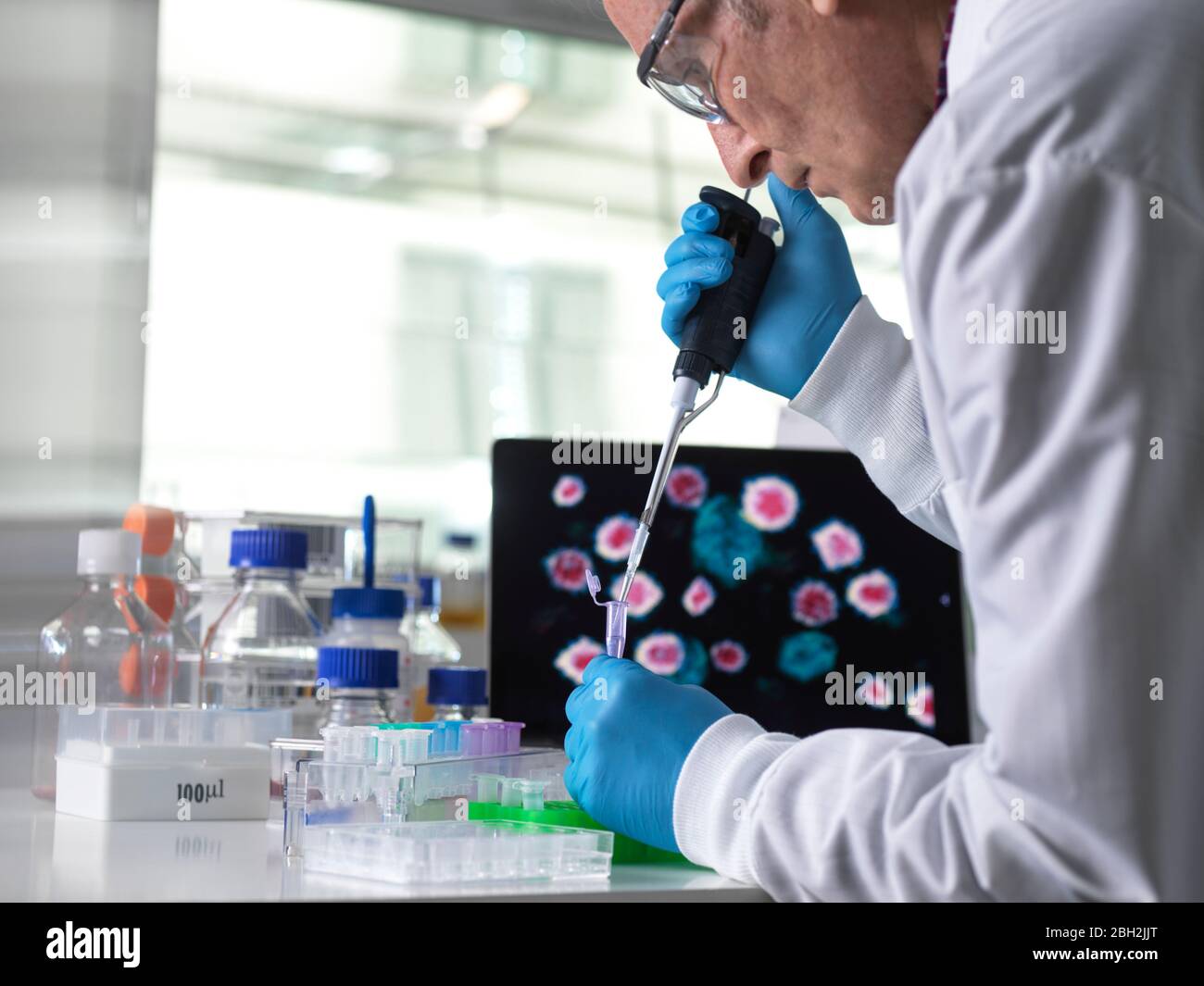 Pharmaceutical research into infectious disease and pandemics, scientist pipetting a sample of a new drug formula into a vial during a clinical trial with the infectious disease on the computer screen Stock Photo
