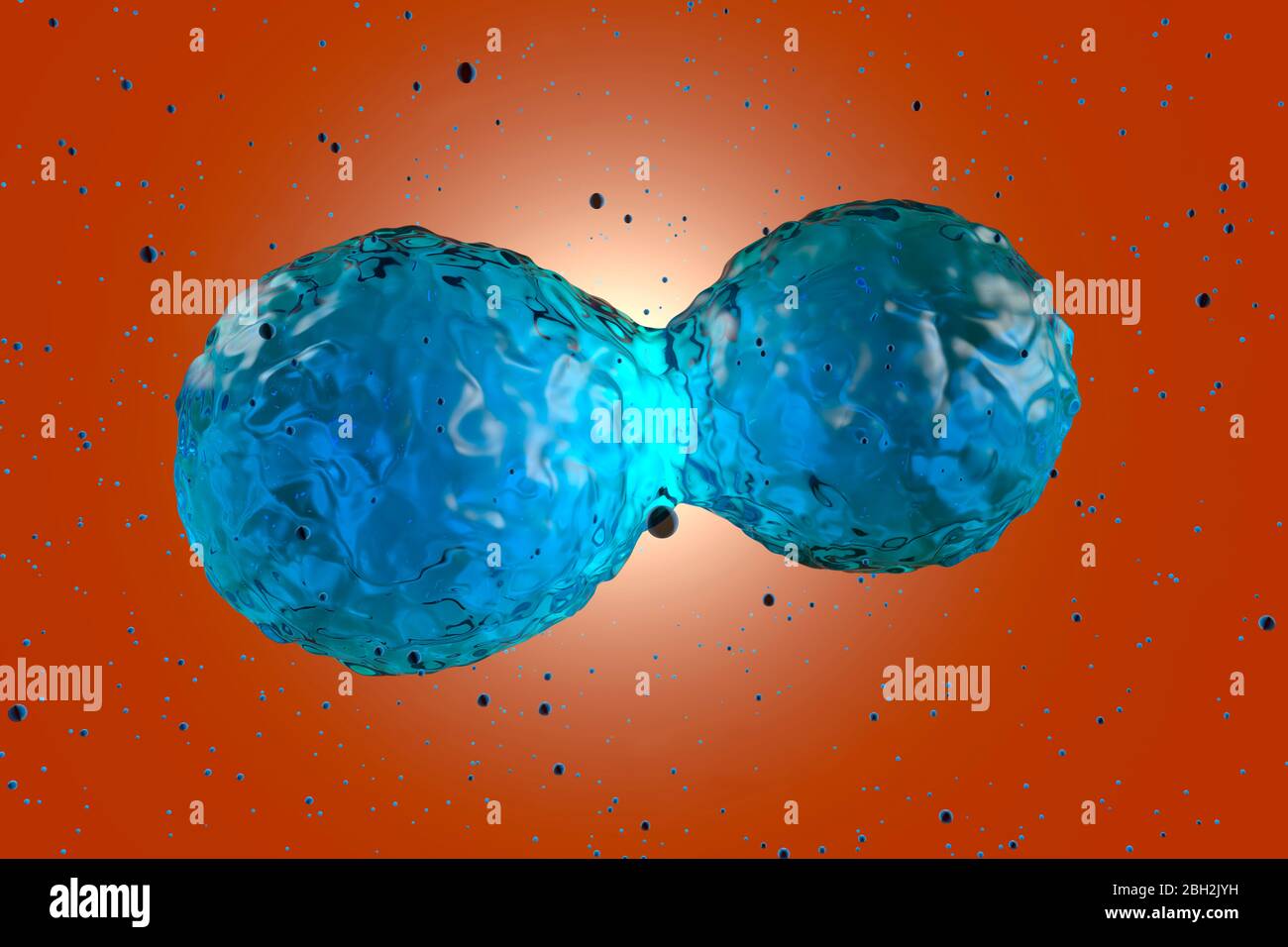 Three dimensional render of stem cell mitosis Stock Photo Biology Diagrams