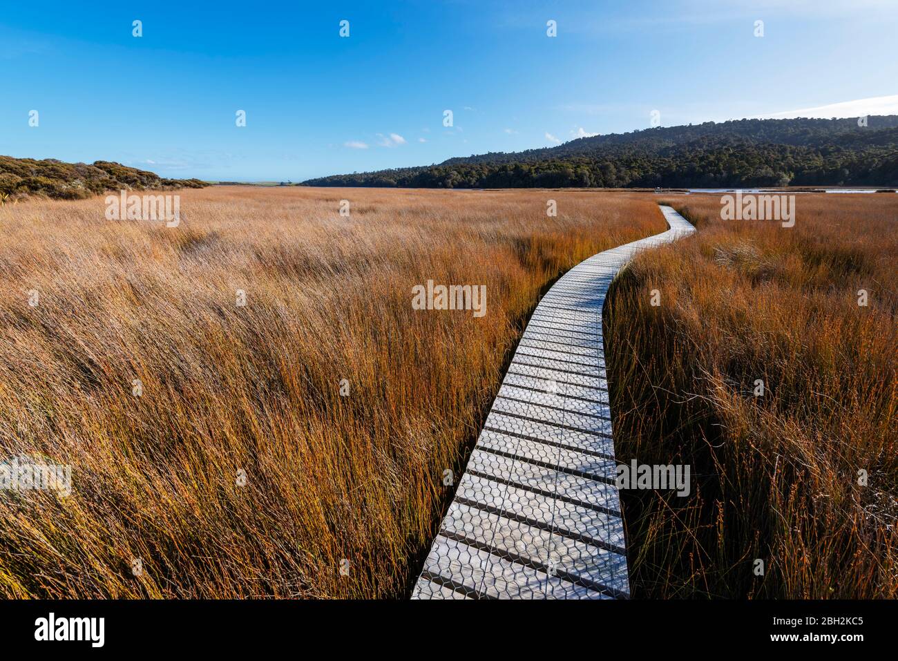 New Zealand, Otago, Clutha District, Empty Tautuku Estuary Walkway ...