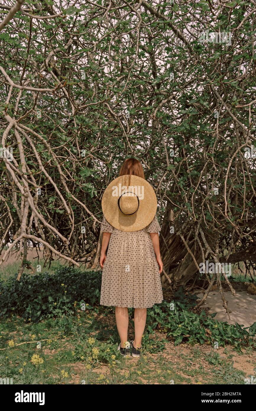 Old fashioned woman dress rear view hi-res stock photography and images ...